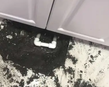 莱山查漏水哪家好